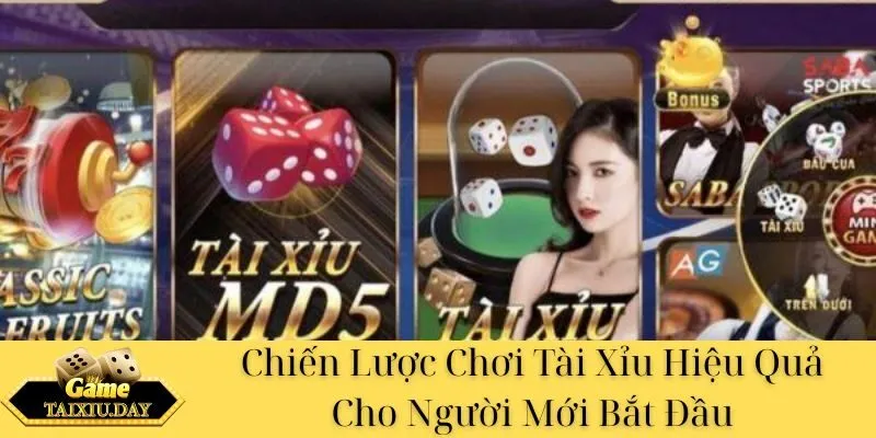 Chiến Lược Chơi Tài Xỉu Hiệu Quả Cho Người Mới Bắt Đầu